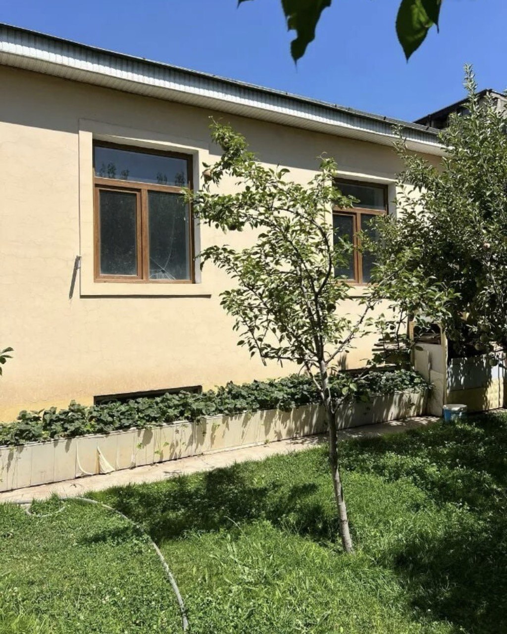 Category Image